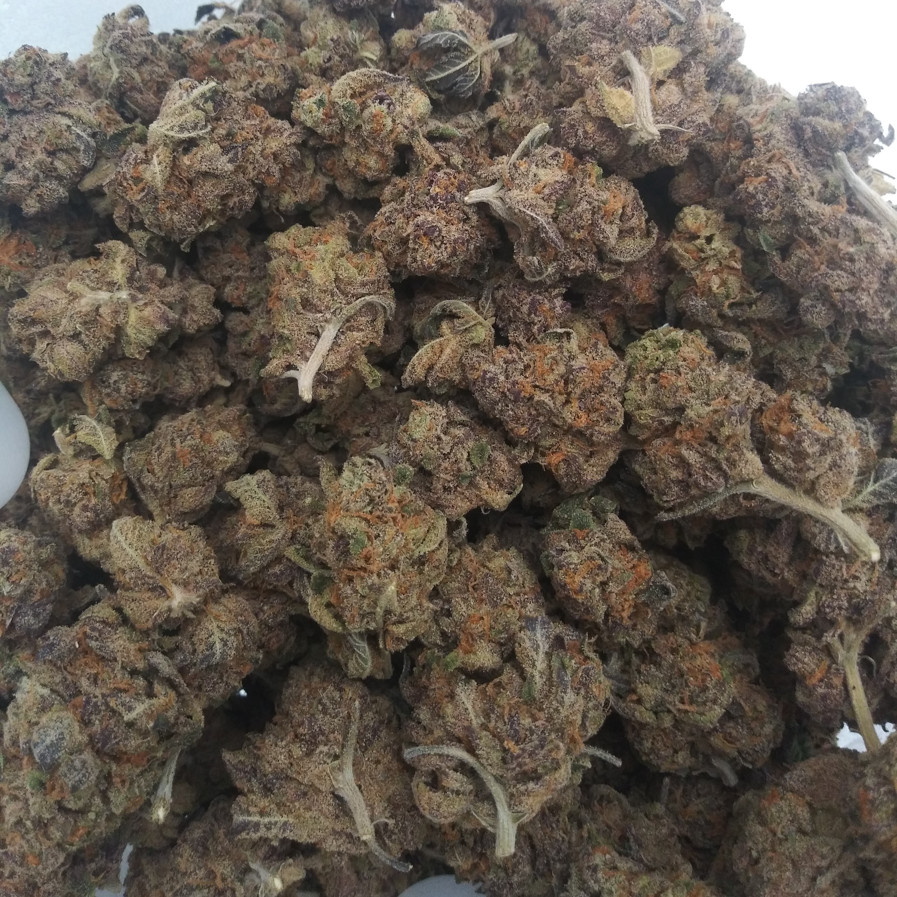 Blueberry Cheese
